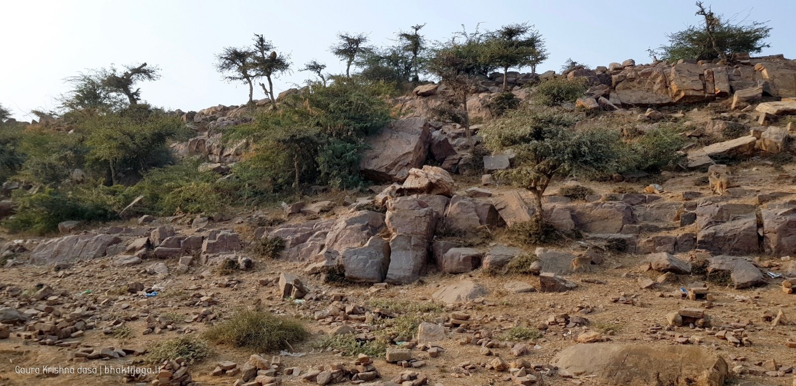  Govardhan hill. 2018.03.14